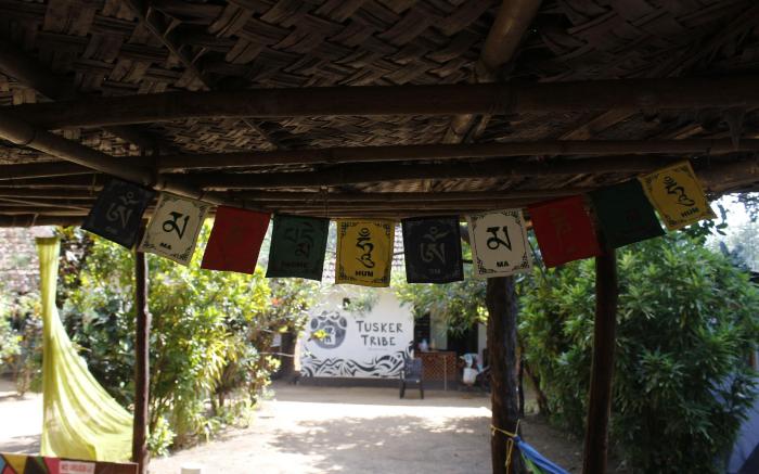 Tusker Tribe Hostel
