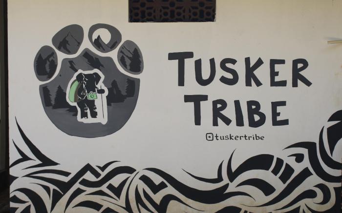 Tusker Tribe Hostel