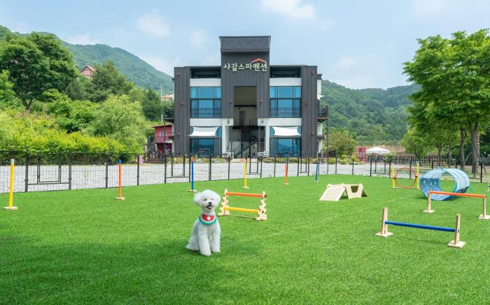 Gapyeong Chagall Spa pension