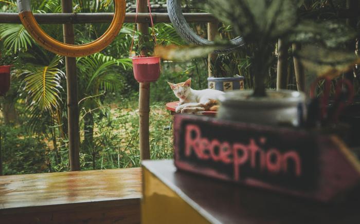 EVA HUT Mui Ne Beach Hostel