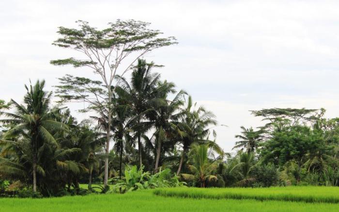 Santun Luxury Private Villa