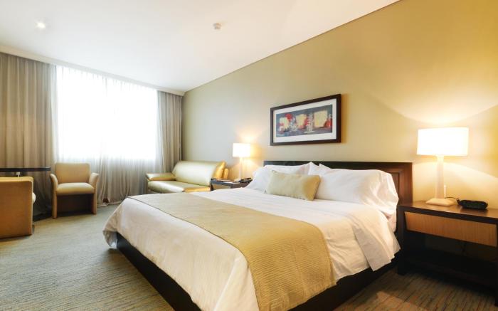 Hotel San Fernando Plaza