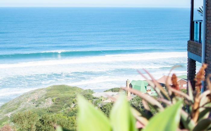 Lilies and Leopards Beda nd Breakfast