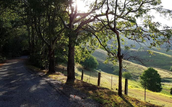 Dayboro Cottages and Llama Walks
