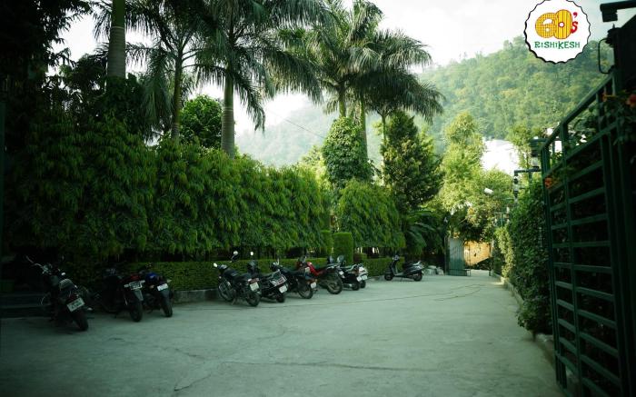 60's Green Hills