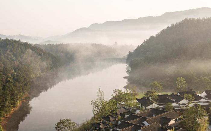 Banyan Tree Anji