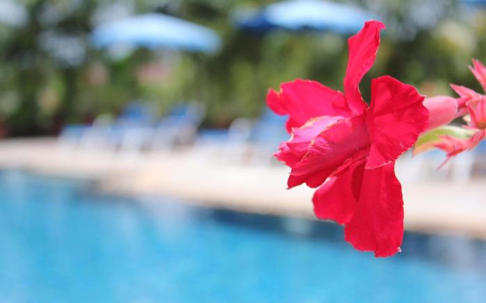 Baan Vanida Garden Resort