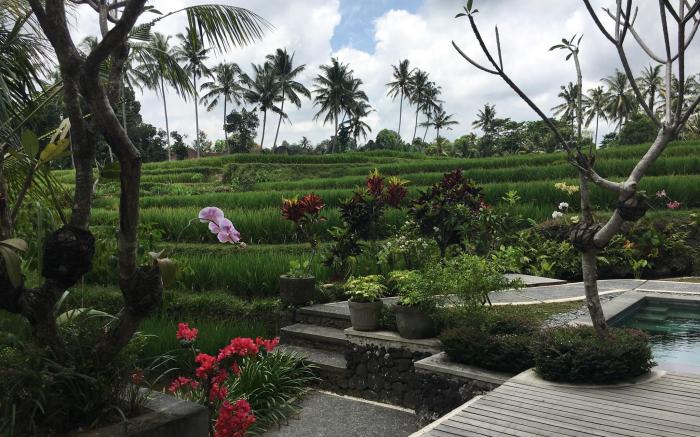 Puri Raya Villa luxury traditional home in Ubud