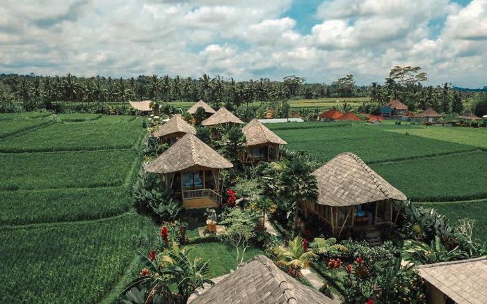 Padi Bali Retreat
