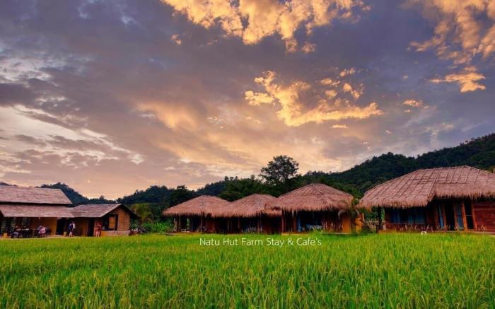 Natu Hut Farm Stay & Cafe' | Chiang Mai