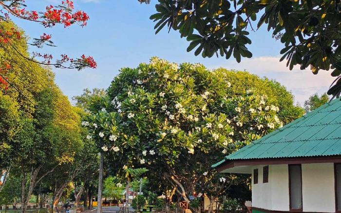 Holiday Resort Rimping