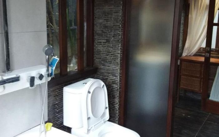 The Dream Home Wooden Classic Villa