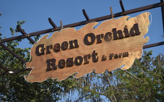 Green Orchid Resort and farm