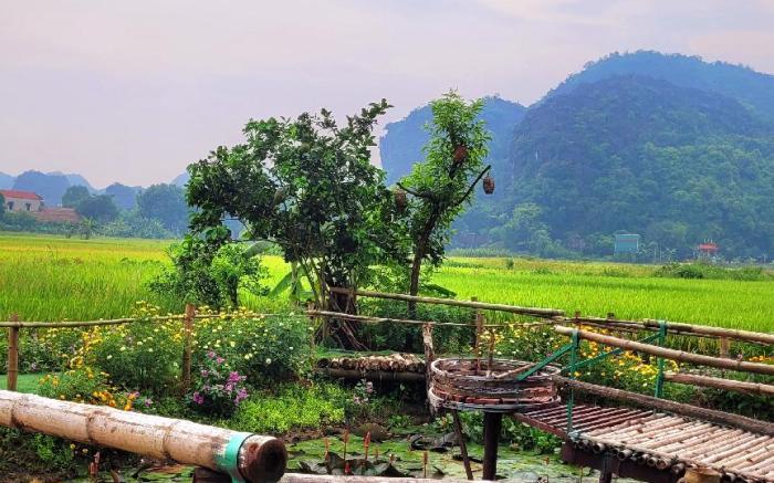 Mrloa homestay 