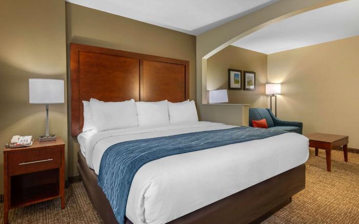 Comfort Inn Ocala Silver Springs