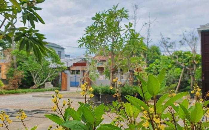 Homestay Hoa Vàng - Kim Long, Huế
