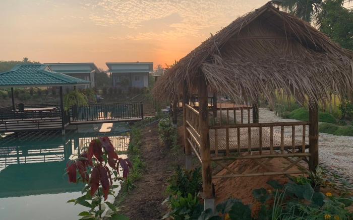 ตังค์ป้าคาเฟ่