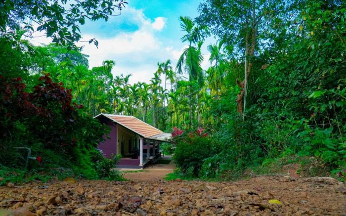 Mithila Nature Stay - Agumbe Homestay