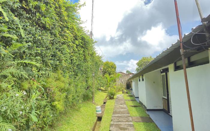 Capital O 94094 New Lembah Nyiur