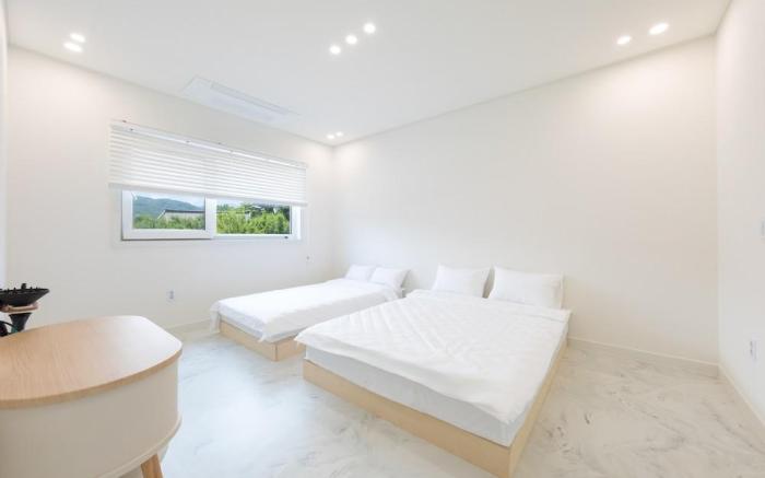 Gangneung Pool N Garden