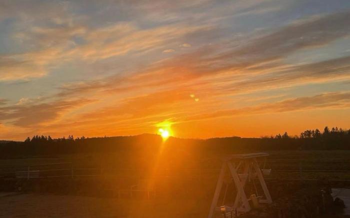 Jejusureum 2, Pretty Couple Accommodation, 10 minutes from Hallasan