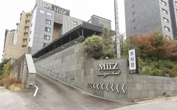 Paju Miiz
