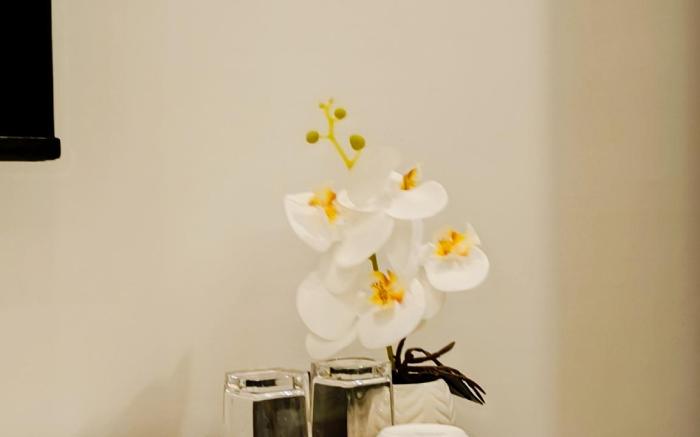 Cosy and Spacious Room and Asian Cuisine 