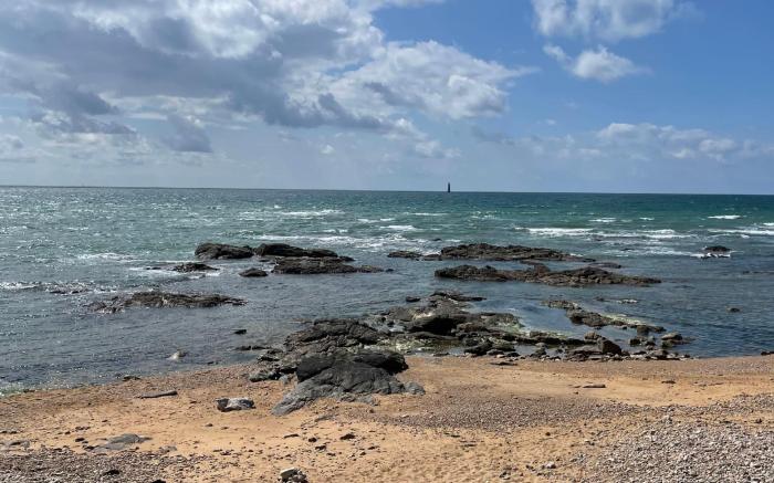 Appartement vue c  te sauvage