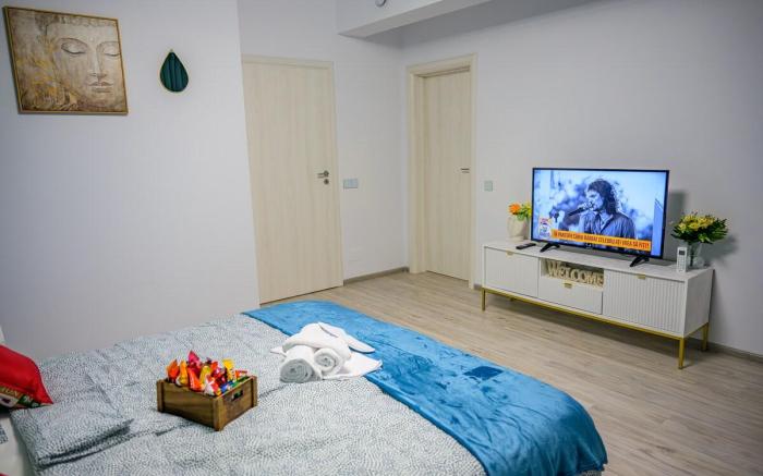 Fundeni Studio Modern
