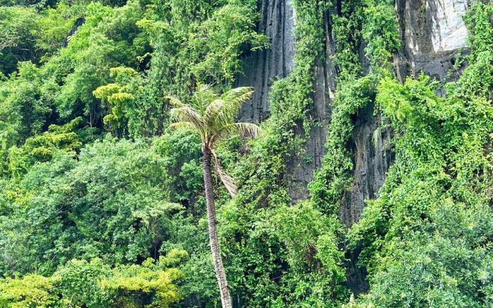 Mayad Boutique Hotel El Nido