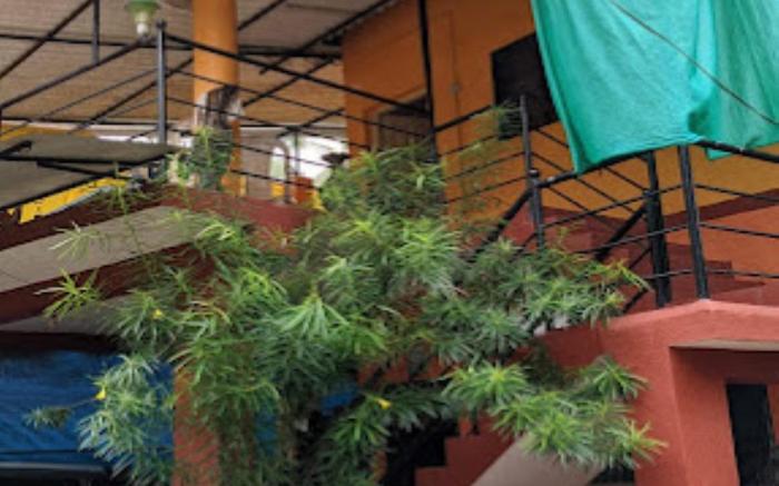 Mangeshai Niwas Cottage Alibaug