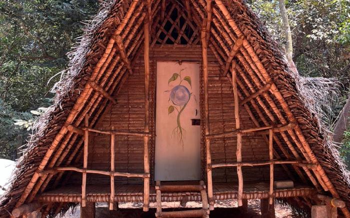 Nebula Nest Cafe & Hostel