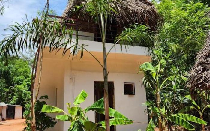 Nebula Nest Cafe & Hostel