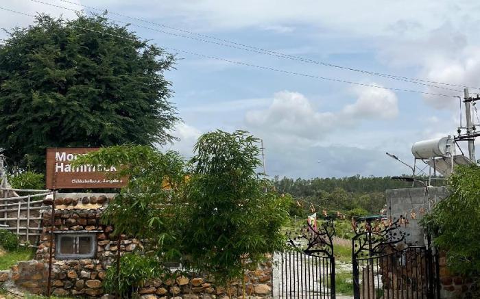 Moonstone Hammock Chikkaballapur