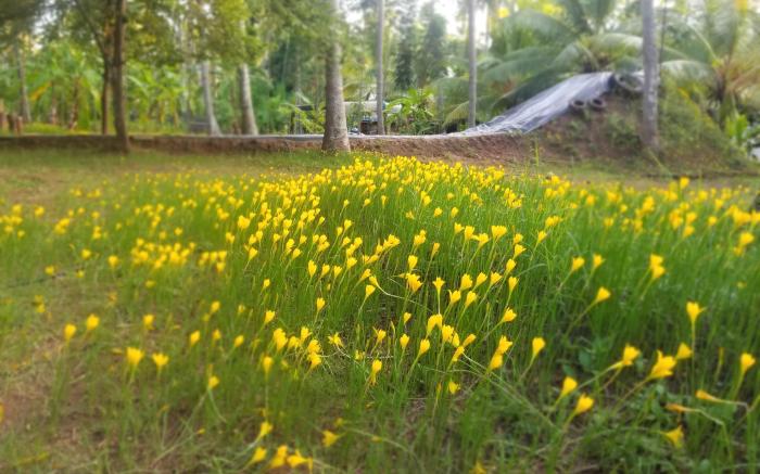 Mullai Farms - A Paradise Farm Stay near Pollachi
