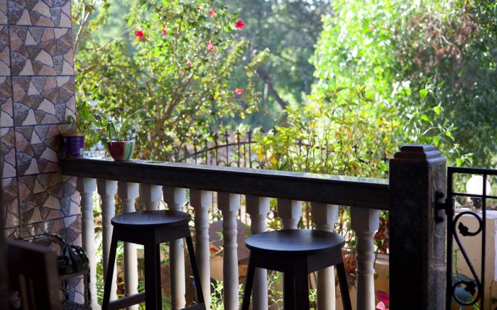 Last Minute Trip Hostel Morjim