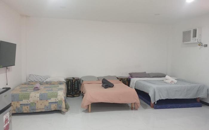 chick & abaknon transient