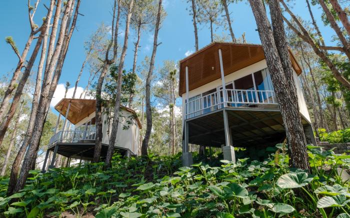 La Pino Mount Batur and Hot Spring