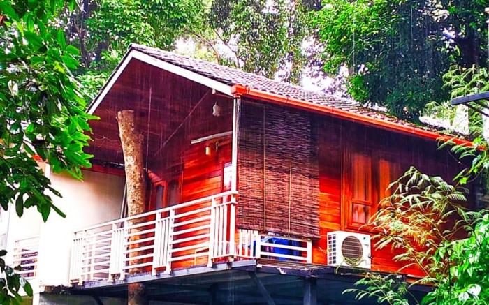 Coorg Coffee Bean Resort