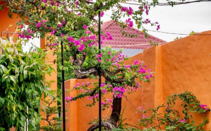 Alana Homestay- Villa nguyên căn 5 phòng ngủ