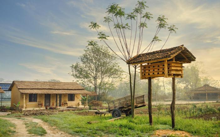 Tharu Community Lodge