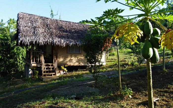 Sweet native Guesthouse in Paradise Garden
