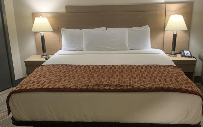 UNIVERSITY INN & SUITES