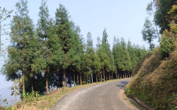 Malgudi Homestay