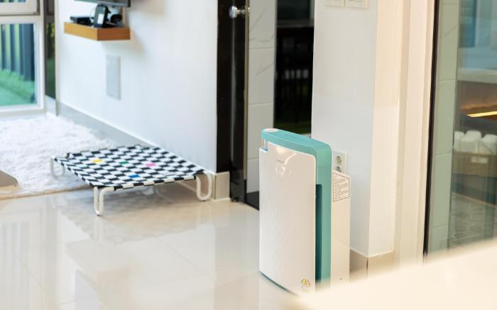 Gapyeong Bobo Dog Pool Villa