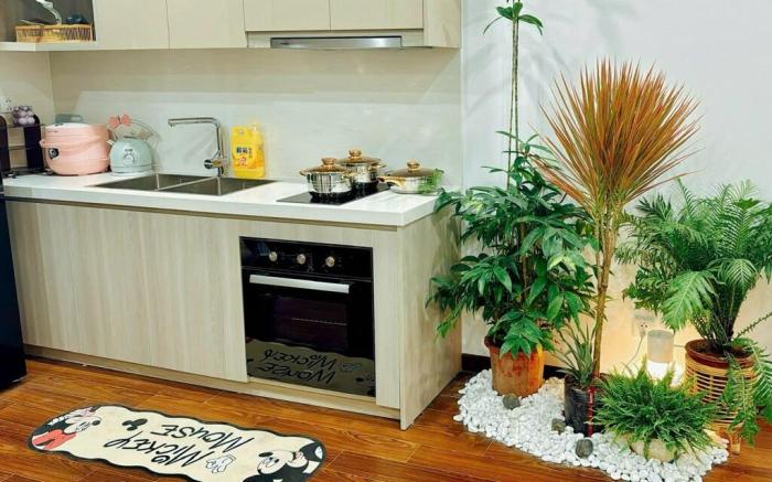 Căn hộ 2 ngủ Masteri WestHeight Vinhomes SmartCity