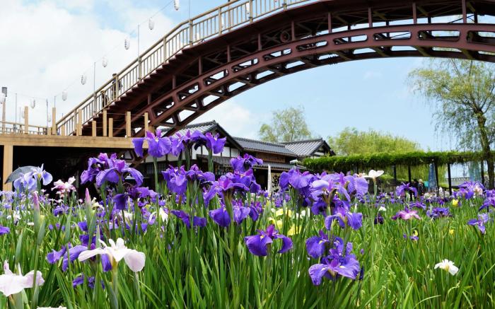 FLEXSTAY INN Kashima Central