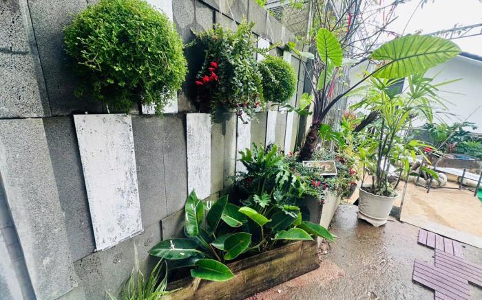 Infini - Rosemary Hương Thảo