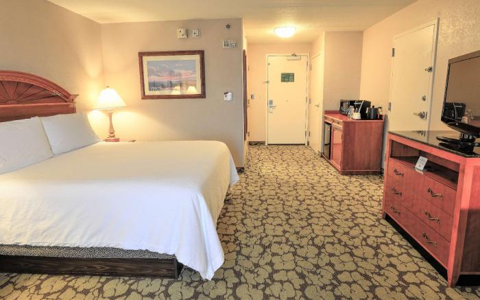 ACP Hotel Houston Westchase MOD Collection by Sonesta