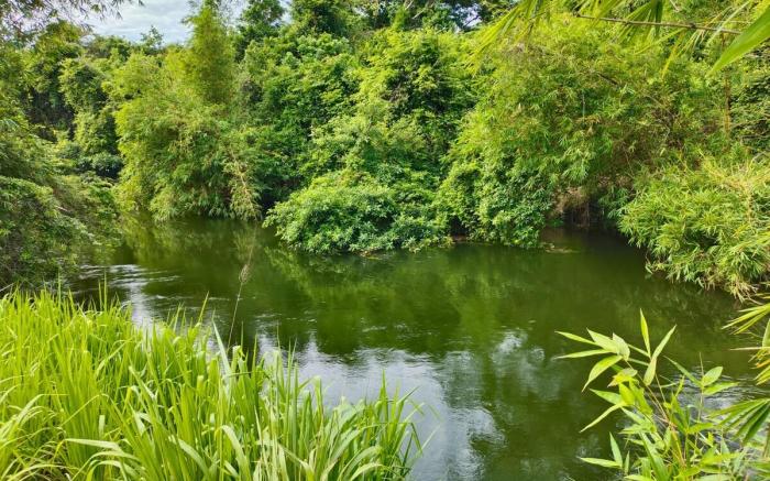 ECO Canal Suite